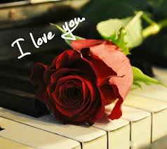 Pin By Chamikara Fernando On Hard Talks Flowers Free Download Rose Images Beautiful Red Roses Images
