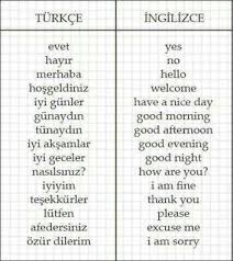 танец пап и дочек в детском саду до слез Mina Daneshyar Adli Kullanicinin Learn Turkish Turkce Panosundaki Pin Bilgelik Alintilari Ogrenme Ingilizce Alfabe