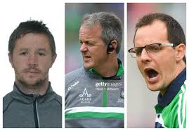 Strong Clare contingent help guide Limerick to All-Ireland glory