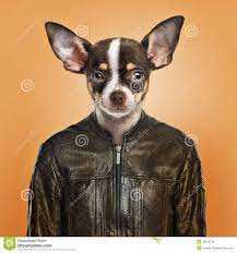 Pin On Have Some Chis