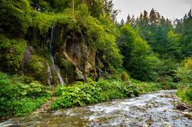 In cazul schimbarii acesteia, ea va fi comunicată prin email și prin. Satul Moieciu De Sus Din Brasov Planiada