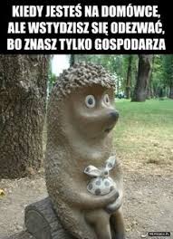 Swoją działalność będą mogły wznowić restauracje i lokale. 64 Memy Ideas Memy Mem Funny