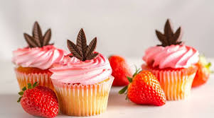However, if taken on an empty stomach, it can take effect within 20 minutes. Cbd Edibles Archives Dispensaries