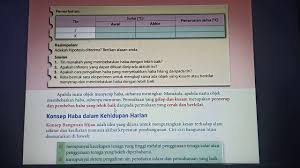 11:34 pm unknown 28 comments. Penerangan Penyerapan Dan Pembebasan Haba Youtube