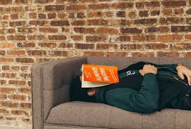 Dormir La Siesta En El Sofá, Un Hábito Con Múltiples Beneficios -  Fabriksofa.com