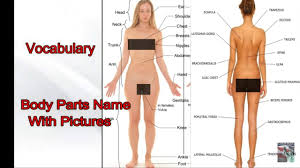That's part of what makes each of us unique. Vocabulary Parts Of Body With Pictures Youtube