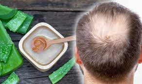 In a bowl, mix both ingredients until you get a smooth and consistent paste. Hair Loss Treatment Aloe Vera Shown To Stimulate Blood Circulation To Boost Hair Growth Sound Health And Lasting Wealth