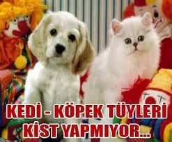 Anka Veteriner Klinigi Alaybey Karsiyaka Izmir