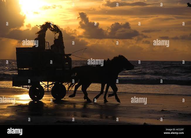 Horse cart mumbai india hi-res stock photography and images - Alamy