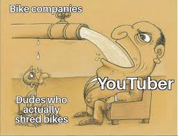A shark is a member of one of 500 different species of fish which all have cartilaginous skeletons, gill slits on the side of the head, and pectoral fins fused to the back, instead of the head. Opinion How True Is The Dudes Who Shred Vs Youtubers Meme Pinkbike
