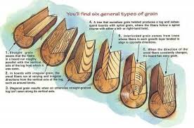 Six General Grains Jpg Types Of Wood Wood Grain Wood