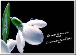 Câteva cântece culese de noi, care au ca temă primăvara. Mesaje Si UrÄƒri De 1 Martie Cele Mai Frumoase Felicitari De 1 Martie 2018