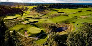 Image result for Lawsonia