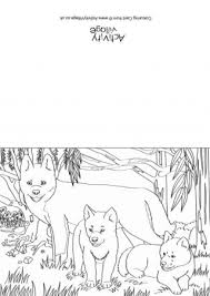 Dingo is an australian wild dog, though not native to this continent. Dingo Colouring Page