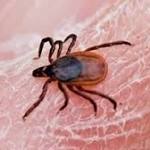  As tick season starts, outdoor enthusiasts advised to take precautions