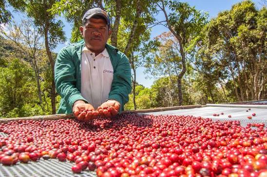 About Finca Deborah | Finca Deborah