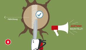 Beim baum fällen beginnt sicherheit mit einer umsichtigen vorbereitung. Baum Im Eigenen Garten Fallen So Geht S Hagebau De