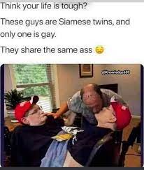 Siamese twins and one is gay. This just came up on the show like yesterday  if joe had a siamese twin and he was gay. : rfbhw