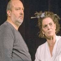 Morgenstern è apparso in numerosi film, principalmente in ruoli in lingua rumena. Maia Morgenstern Birthday Real Name Age Weight Height Family Dress Size Contact Details Spouse Husband Bio More Notednames