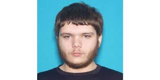 Sikeston, MO man pleads guilty to carjacking, gun charge