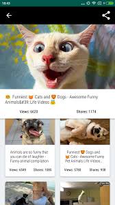Funny Animal Videos For Android Apk Download