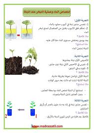 امتصاص الماء وعملية التبخر عند النبتة موقع مدرستي
