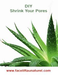 Diy Shrink Pores Mask Beauty Skin Aloe Vera Organic Aloe Vera Gel