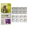Drontal allwormer tablets kill every important common type of intestinal worm found in australian dogs, including roundworm. Https Encrypted Tbn0 Gstatic Com Images Q Tbn And9gcsaqktkacwbtyut Goccswiwgo8gozw2vwiqcizvgptolwvrm6o Usqp Cau