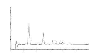 Image result for Cola pierlotii