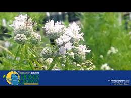 Read reviews, view photos, see special offers, and contact designs by janice florist directly on the knot. Flower Shops In Midlothian Tx Jobs Ecityworks