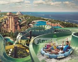 رخصة في اتجاه عقارب الساعة حوض ملابس السباحة في ياس وتر اسعار Psidiagnosticins Com