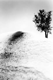 La Tradition Equestre Au Japon A Travers L Oeil De Hajime Kimura Graine De Photographe The Blog Photographie Photographie Minimaliste Photographie De Paysage