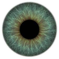 Iris Texture Png At 150ppi On Transparent Eye Drawing Eye Texture Iris Eye