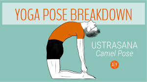It increases circulation throughout the front of over time you will find that it becomes easier to work into the full extension of the pose. How To Do Ustrasana Benefits Yoga Pose Tutorial Adventure Yoga Online