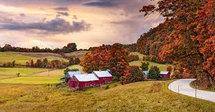 Selling a rental property has become a lot easier with the advent of such online services. The Pros And Cons Of Buying A House In A Rural Area Point2 News