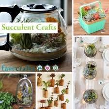 We did not find results for: 33 Succulent Crafts Pretty Planters Terrariums And More Favecrafts Com