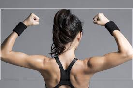 The back anatomy includes the latissimus dorsi, trapezius, erector spinae, rhomboid, & teres major. A Complete Guide To Arm Muscle Anatomy And Workouts Htv