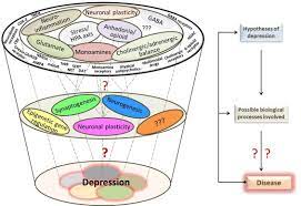 Why are snri's better for attention than ssri's? Emerging Mechanisms And Treatments For Depression Beyond Ssris And Snris Sciencedirect