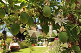 We did not find results for: In The Wildlife Friendly Garden September Gardening For Wildlife Nature On Your Doorstep The Rspb Community