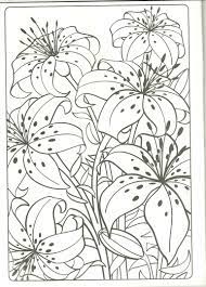 Lily and greeting card coloring page from lilies category. Tiger Lilly Coloring Page It S My Fave Flower Tiger Lily Tiger Lily Flowers Coloring Pages