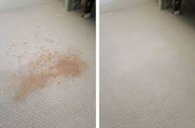 Maybe you would like to learn more about one of these? Carpet Cleaning Arlington Tx Green Cheap Carpet Cleaners