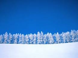 Mooie Sneeuw Achtergronden Bureaublad Achtergronden Achtergrond Bureaublad Wallpaper Achtergronden Achtergronden