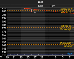 my new weight chart o a journey