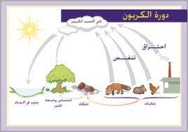 علوم الارض والبيئة الدرس الثالث دورة الكربون في الطبيعة