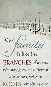 41 Ideas For Quotes Family Missing Dads Cousin Quotes Family Quotes Inspirational Family Quotes