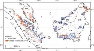 Scotland highland/lowland 2020/2021 table, full stats, livescores. Mega Plantations In Southeast Asia In Environment And Society Volume 10 Issue 1 2019