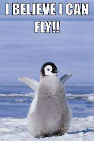 I Believe I Can Fly I Believe I Can Touch The Sky Citazioni Divertenti Citazioni Divertente