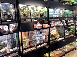 As an independently owned pet shop, the pet shop steps outside of the normal pet boundary lines and offer you the most exotic, interesting animals to take home. Zoo Med Laboratories On Twitter Our Store Of The Month Is Rainforest Pets This Store S Been Family Run Since 1997 They Love All Things Herps Can Help With All Of Your