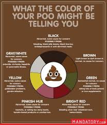 Image result for Blood in stool