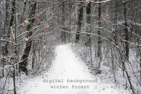 Winter Overlays Snow Overlays Christmas Overlays Snowflake Overlay Winter Background Winter Backdrop Holiday Overlays Bokeh Overlay Winter Winter Backdrops Winter Overlays Winter Background A winter onederland first birthday party came natural to me for several reasons. pinterest